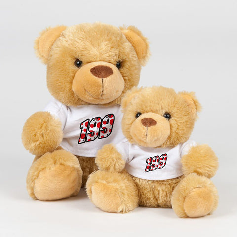 Bian 2024 Teddy Bear