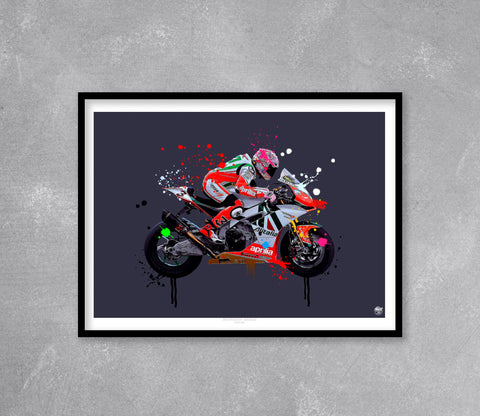 Max Biaggi 2010 Aprilia RSV4 Superbike Print