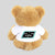 FHO Racing Teddy Logo 25 Teddies